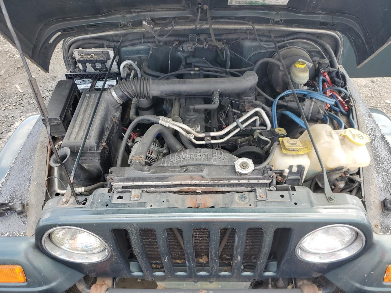 2003 Jeep Wrangler / Tj Sahara VIN: 1J4FA59S73P308250 Lot: 64305965