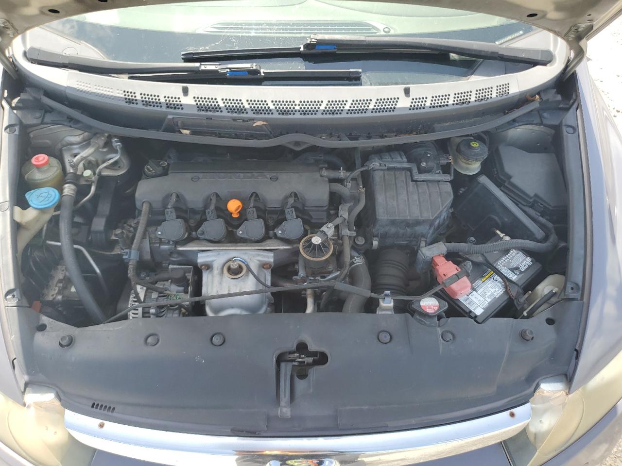 2006 Honda Civic Lx VIN: 1HGFA165X6L129503 Lot: 66251205