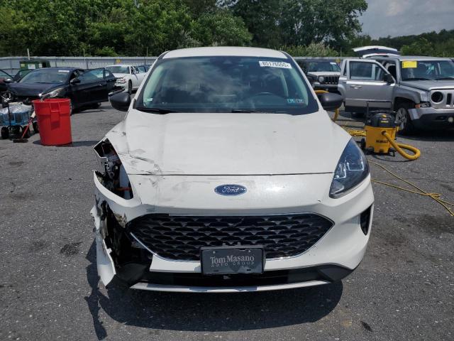  FORD ESCAPE 2022 Белы