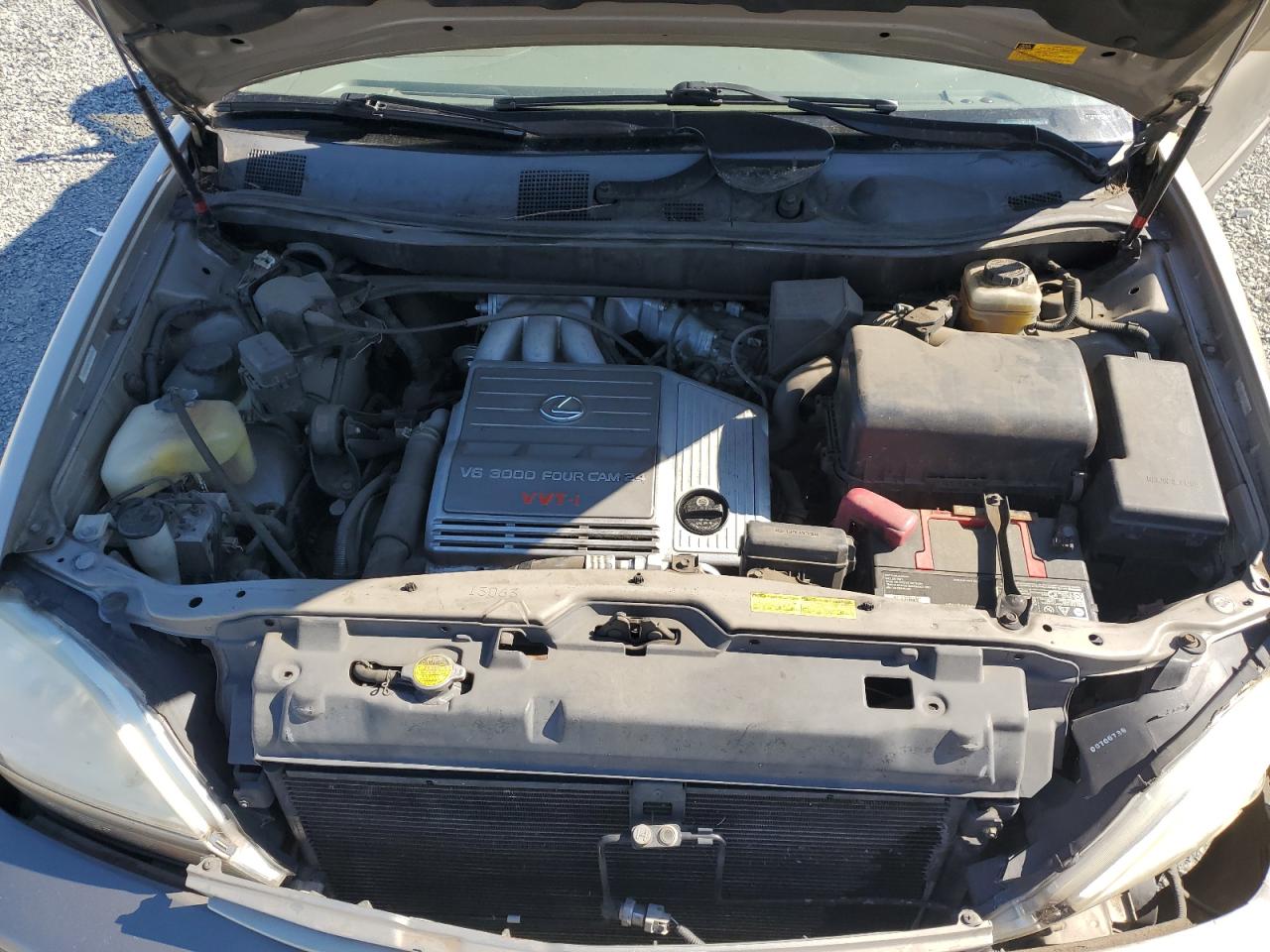 2003 Lexus Rx 300 VIN: JTJHF10U730312389 Lot: 65093945