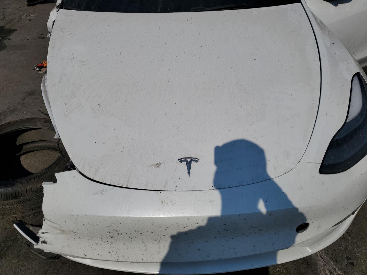 2024 Tesla Model Y VIN: 7SAYGDEE1RF126959 Lot: 65051955