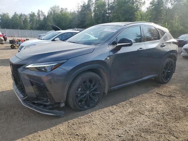 2024 LEXUS NX 350 LUXURY   for sale at Copart ON - COOKSTOWN