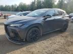 2024 LEXUS NX 350 LUXURY   for sale at Copart ON - COOKSTOWN