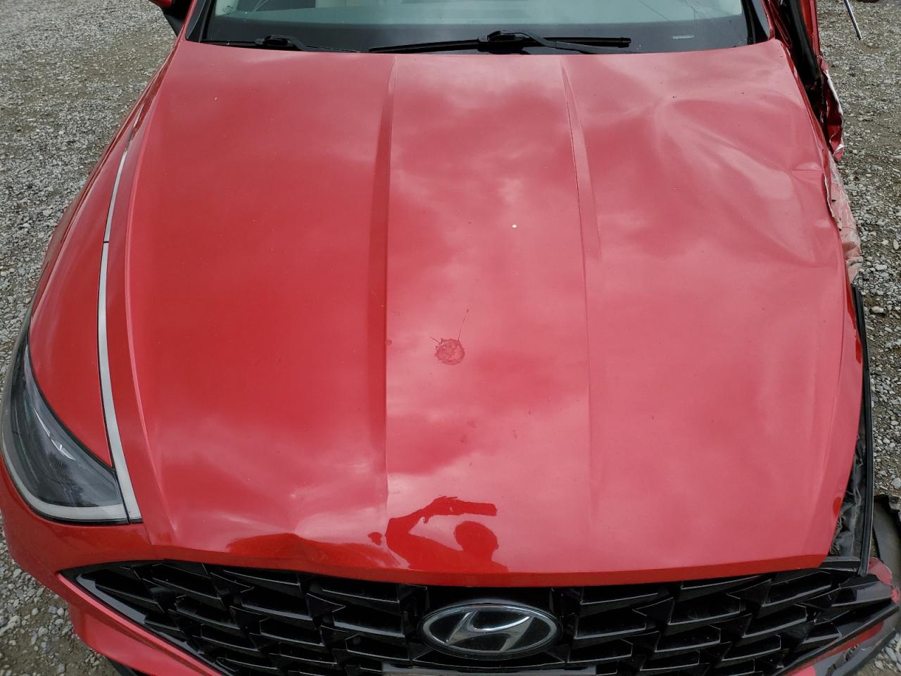 2021 Hyundai Sonata Sel VIN: KMHL64JA1MA147823 Lot: 64606055