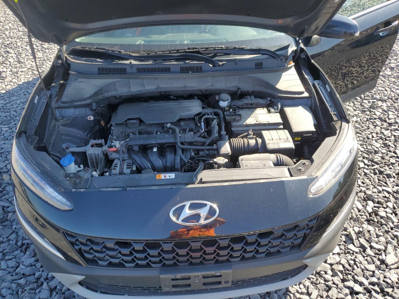 2023 Hyundai Kona Sel VIN: KM8K6CAB9PU966614 Lot: 63591605