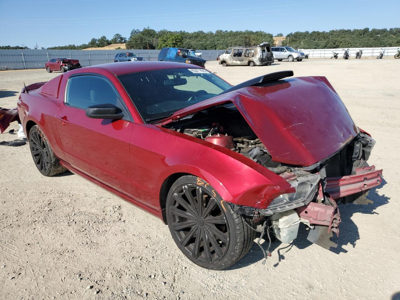 2014 Ford Mustang VIN: 1ZVBP8AM9E5250526 Lot: 65471825