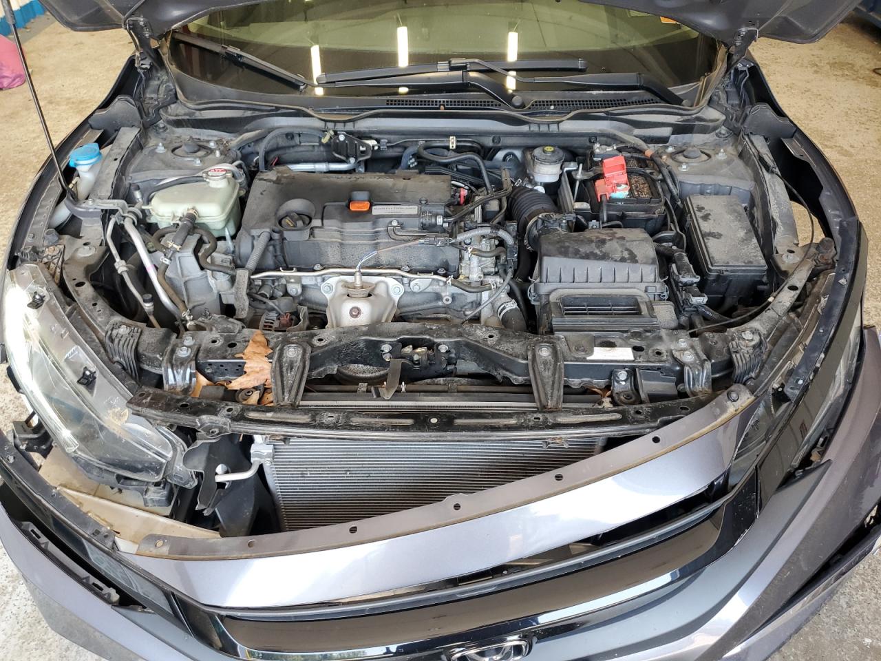 2019 Honda Civic Lx VIN: 2HGFC2F66KH560436 Lot: 64059845