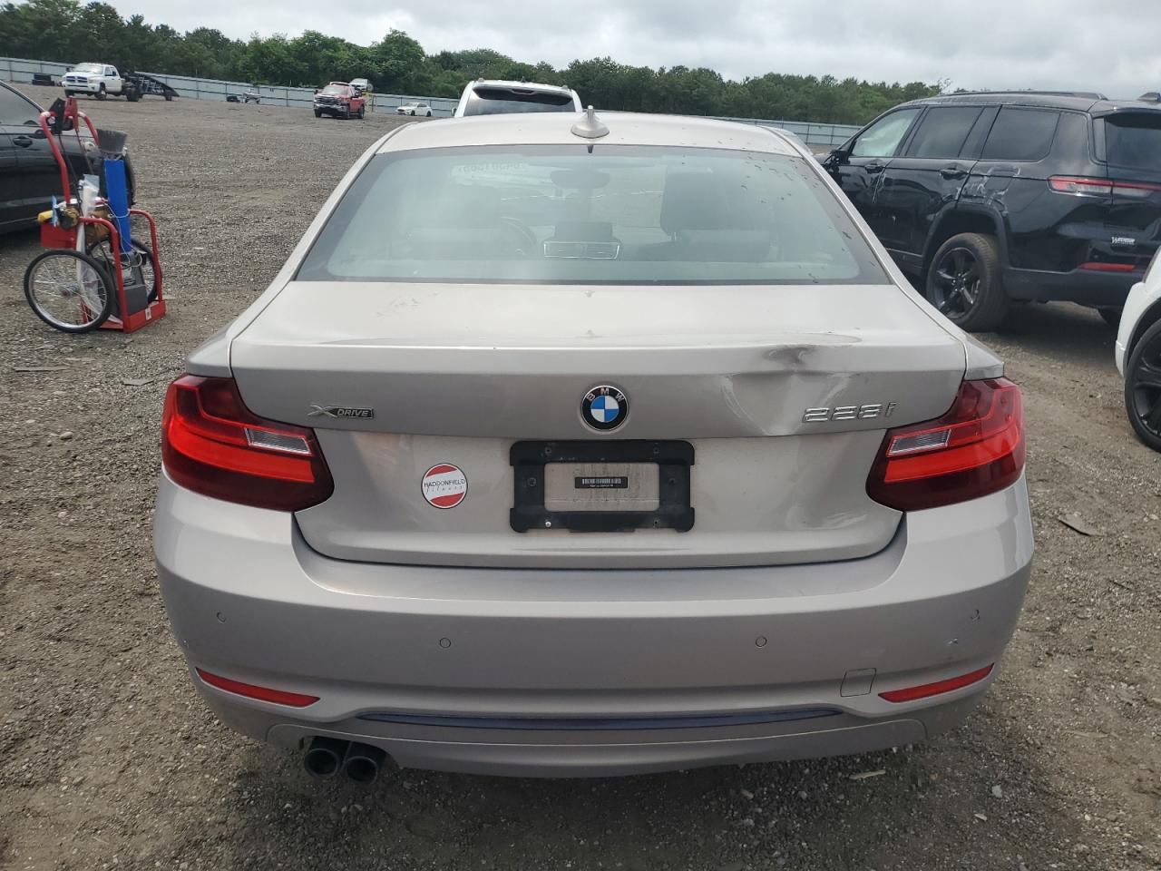 2016 BMW 228 Xi Sulev VIN: WBA1G9C52GV599781 Lot: 64301565