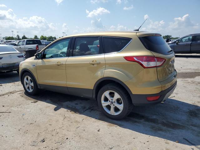 Parquets FORD ESCAPE 2014 Złoty