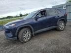 2023 TOYOTA RAV4 XLE   à vendre chez Copart ON - OTTAWA