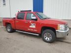 2012 CHEVROLET SILVERADO K1500 LS   for sale at Copart NB - MONCTON