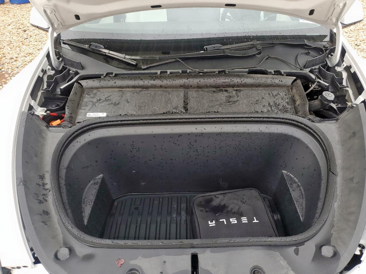 2022 Tesla Model Y VIN: 7SAYGDEE7NF321619 Lot: 63421045
