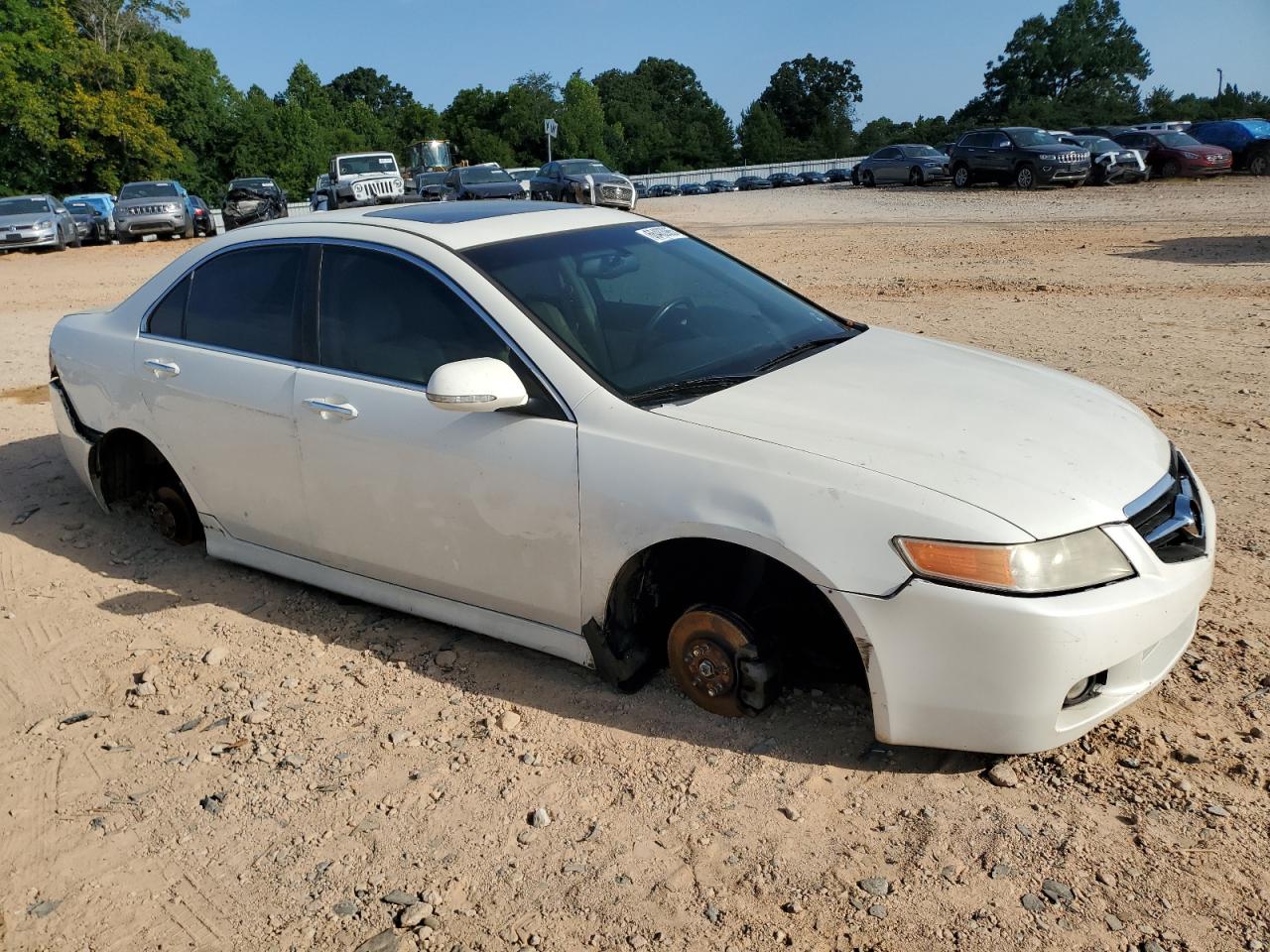 jh4cl96996c000177 JH4CL96996C000177 2006 Acura Tsx