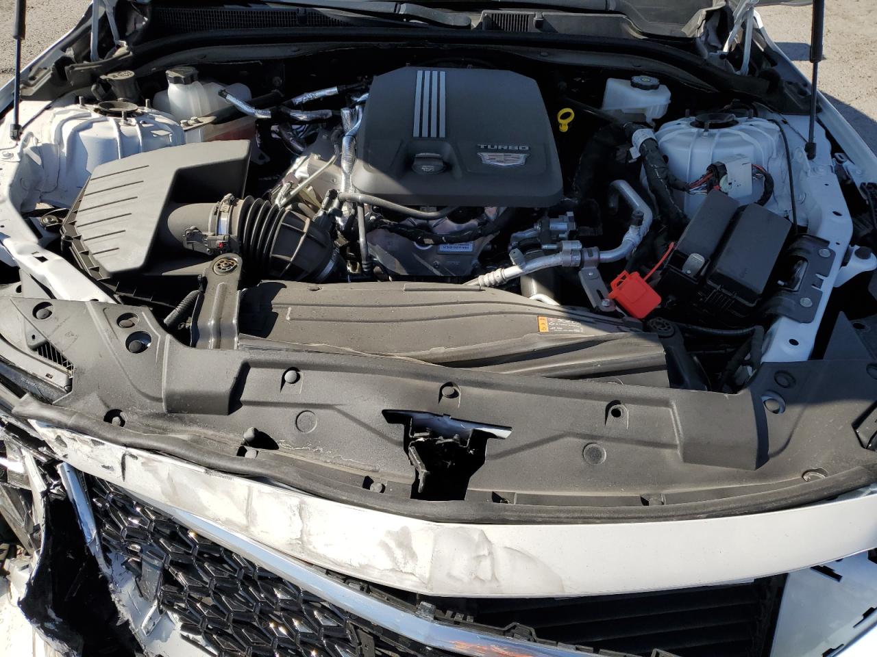 2025 Cadillac Ct5 Premium Luxury VIN: 1G6DN5RK8S0108683 Lot: 66042915