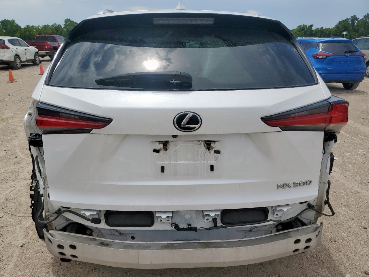 2019 Lexus Nx 300 Base VIN: JTJYARBZ7K2132659 Lot: 64481265