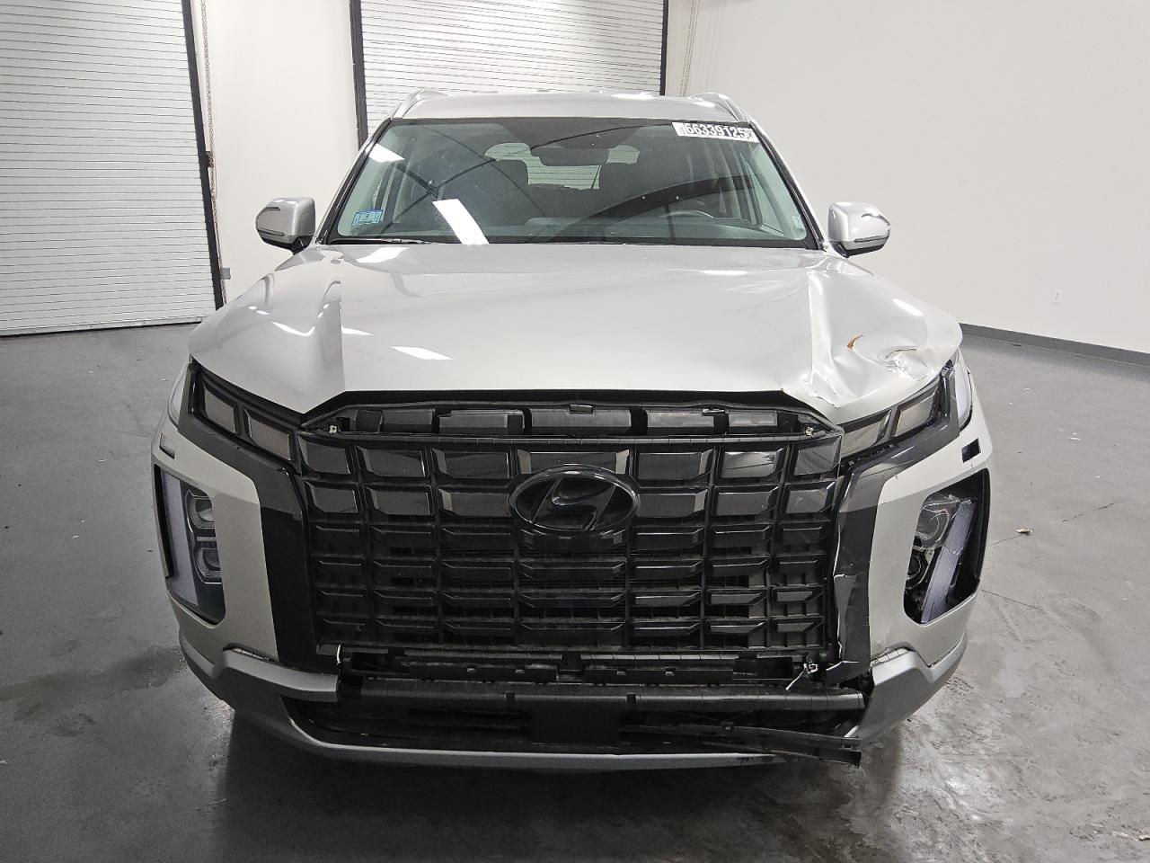 2025 Hyundai Palisade Sel VIN: KM8R2DGE5SU899648 Lot: 66339125