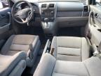 2008 HONDA CR-V EX à vendre chez Copart FL - WEST PALM BEACH