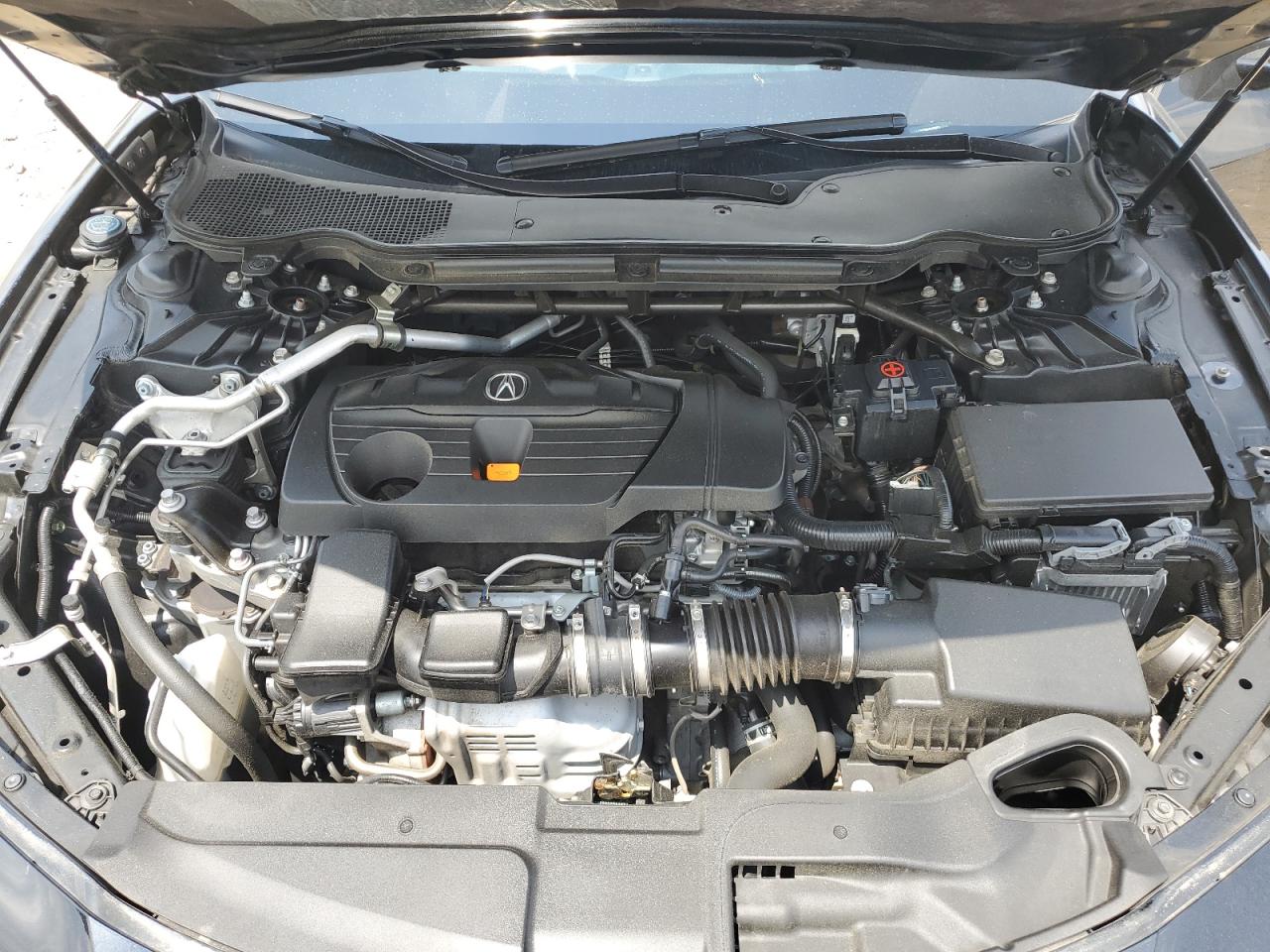 2021 Acura Tlx Advance VIN: 19UUB6F69MA009503 Lot: 63218925