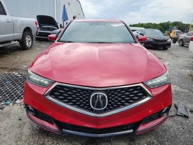  ACURA TLX 2019 Czerwony