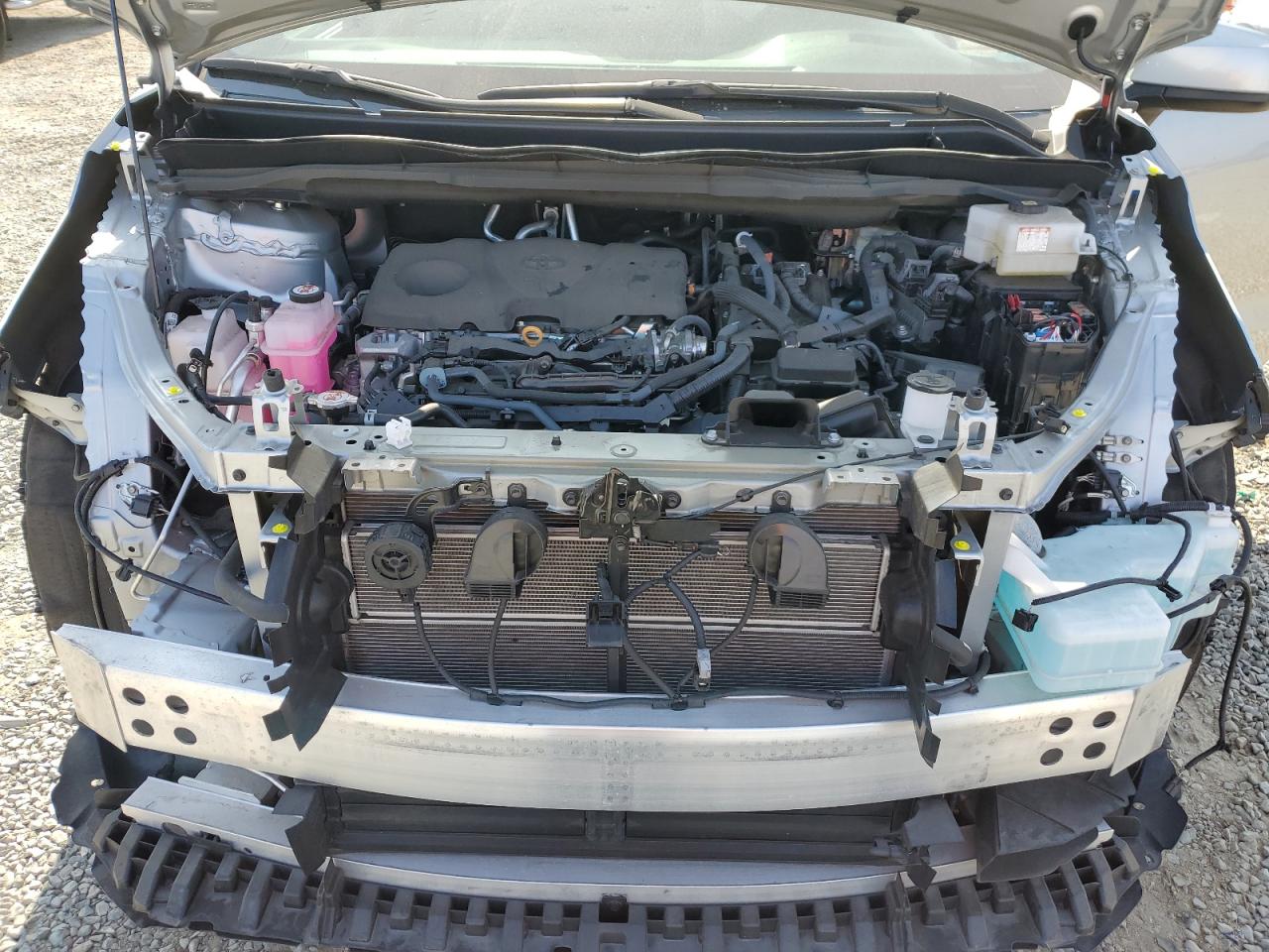 2023 Toyota Sienna Xle VIN: 5TDJRKEC1PS166494 Lot: 63250775