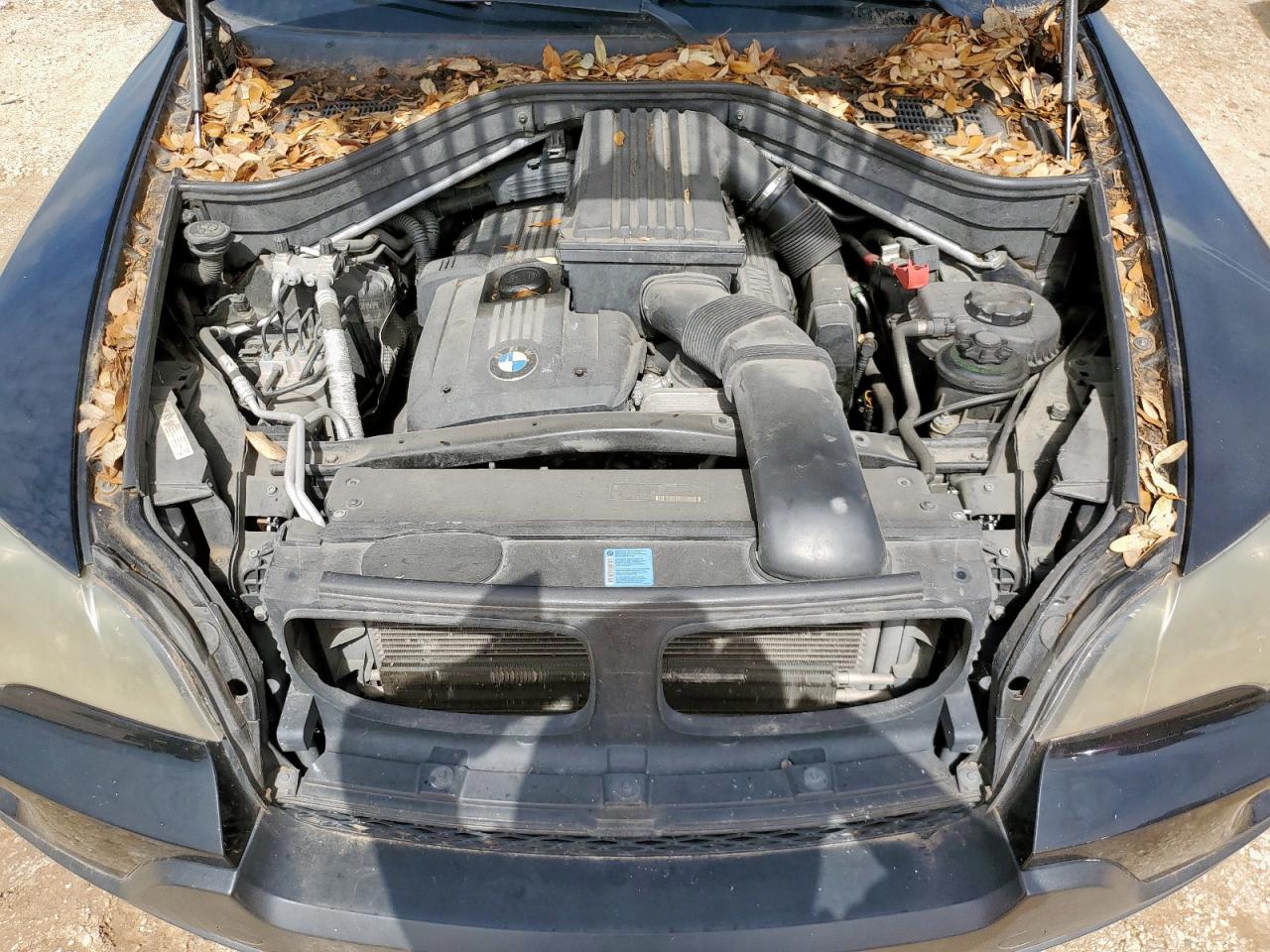 2009 BMW X5 xDrive30I VIN: 5UXFE43599L261146 Lot: 62274205