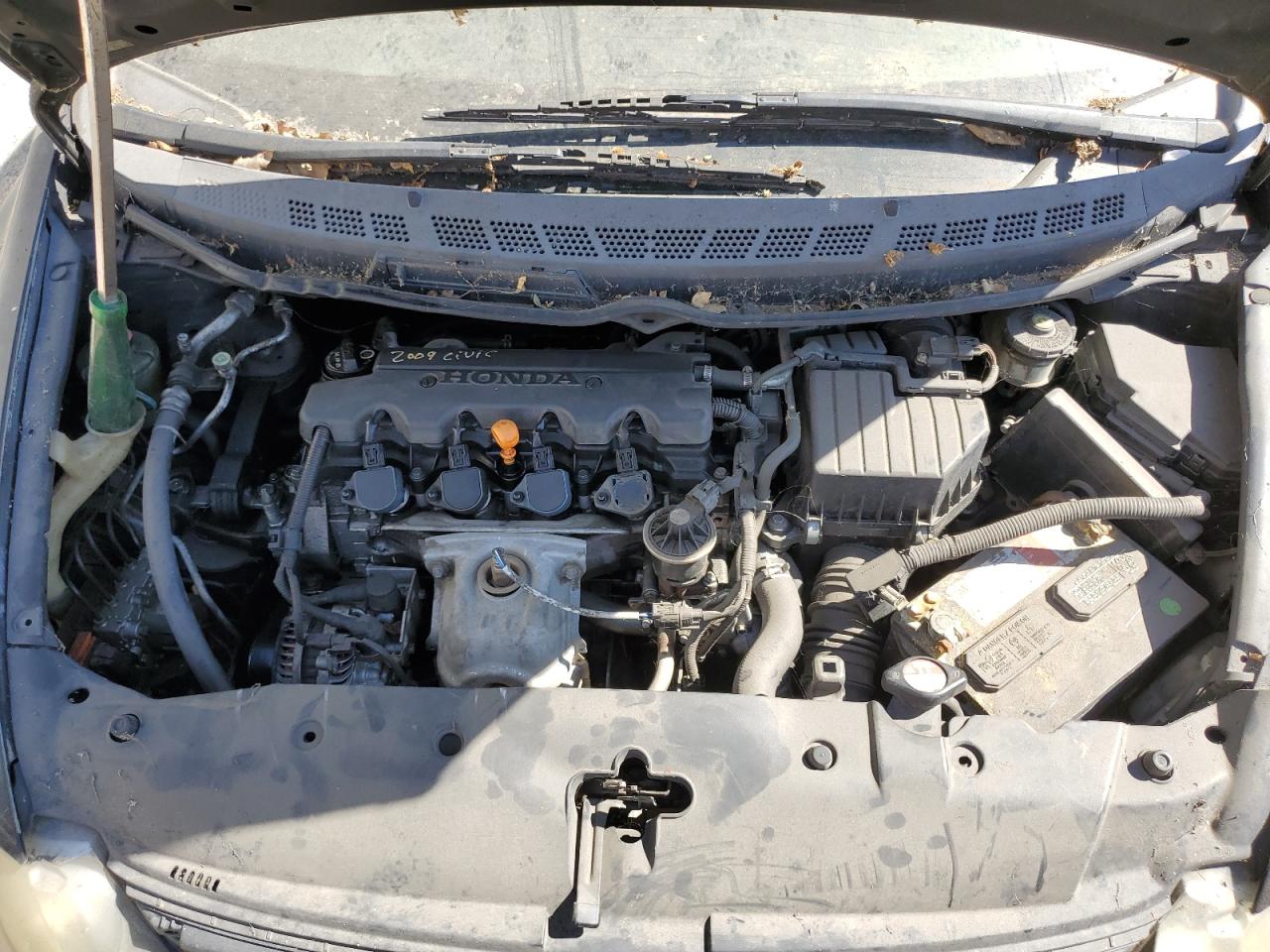 2007 Honda Civic Lx VIN: 2HGFA16567H301749 Lot: 67319665