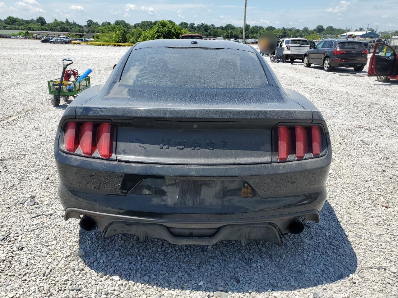 2017 Ford Mustang VIN: 1FA6P8TH9H5278230 Lot: 65681135