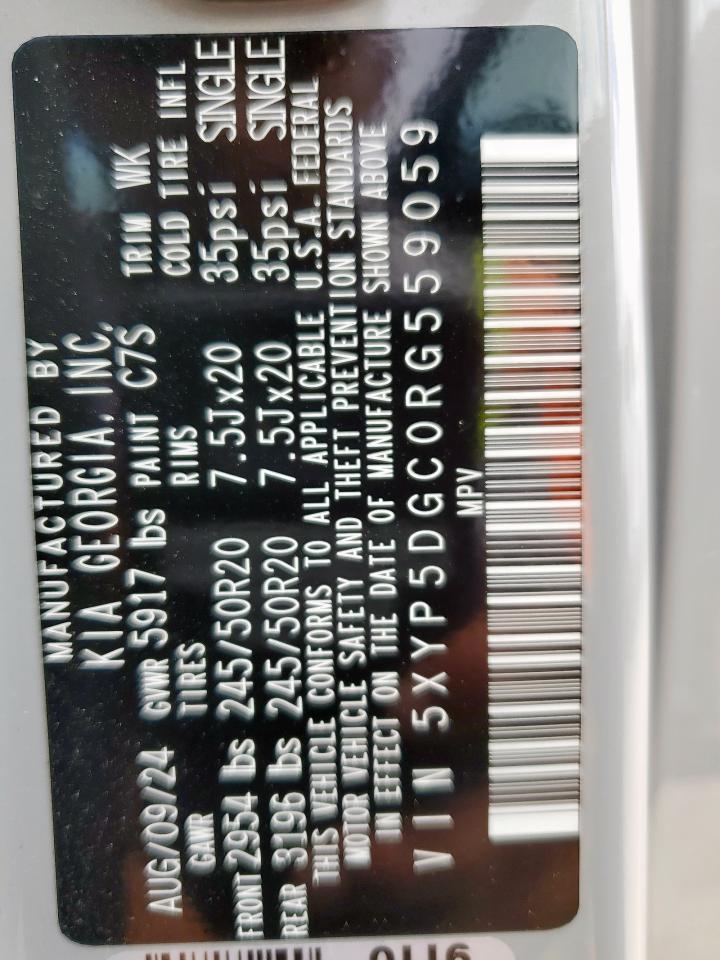2024 Kia Telluride Sx VIN: 5XYP5DGC0RG559059 Lot: 64821515