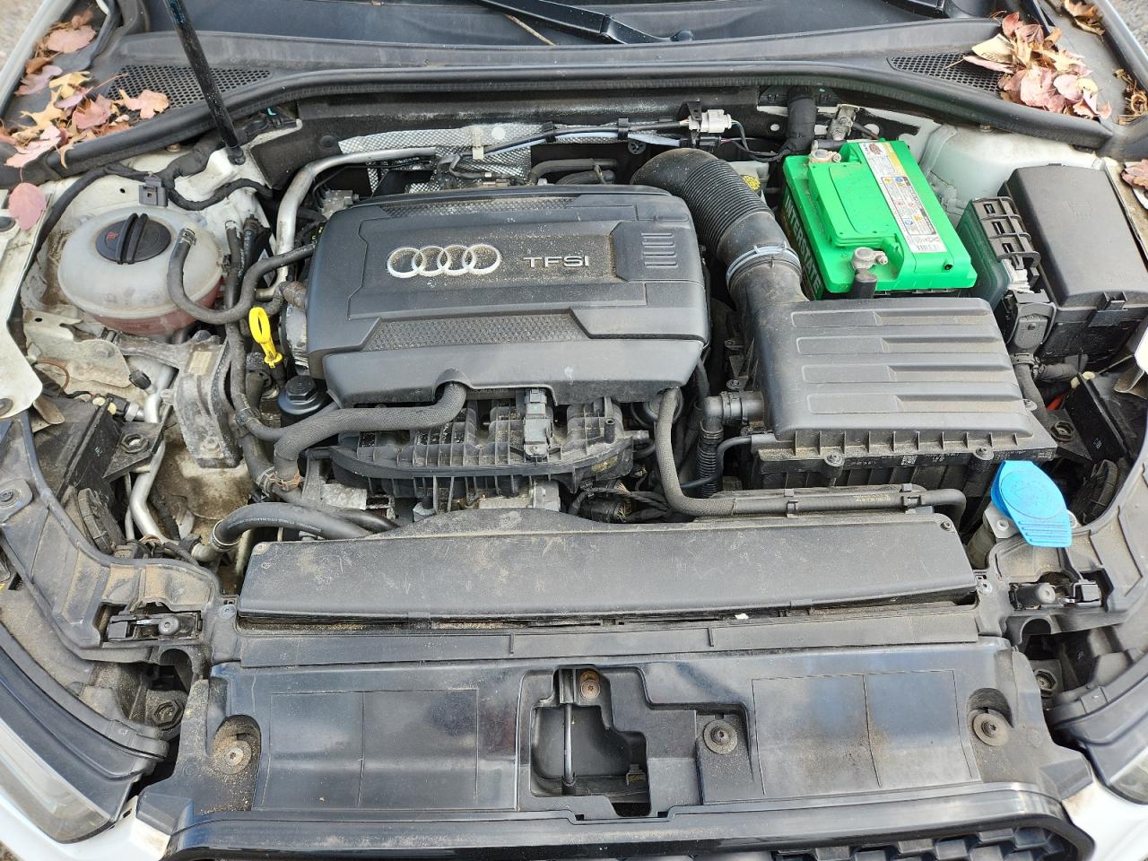 2016 Audi A3 Premium VIN: WAUB8GFF3G1006382 Lot: 65349675
