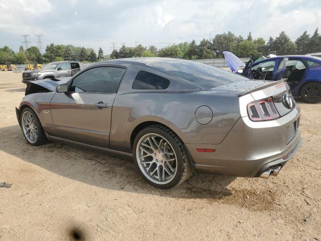  FORD MUSTANG 2014 Gray