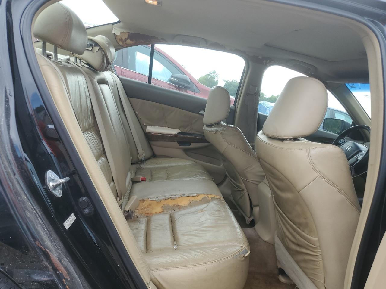 2009 Honda Accord Exl VIN: 1HGCP36869A032547 Lot: 63375465