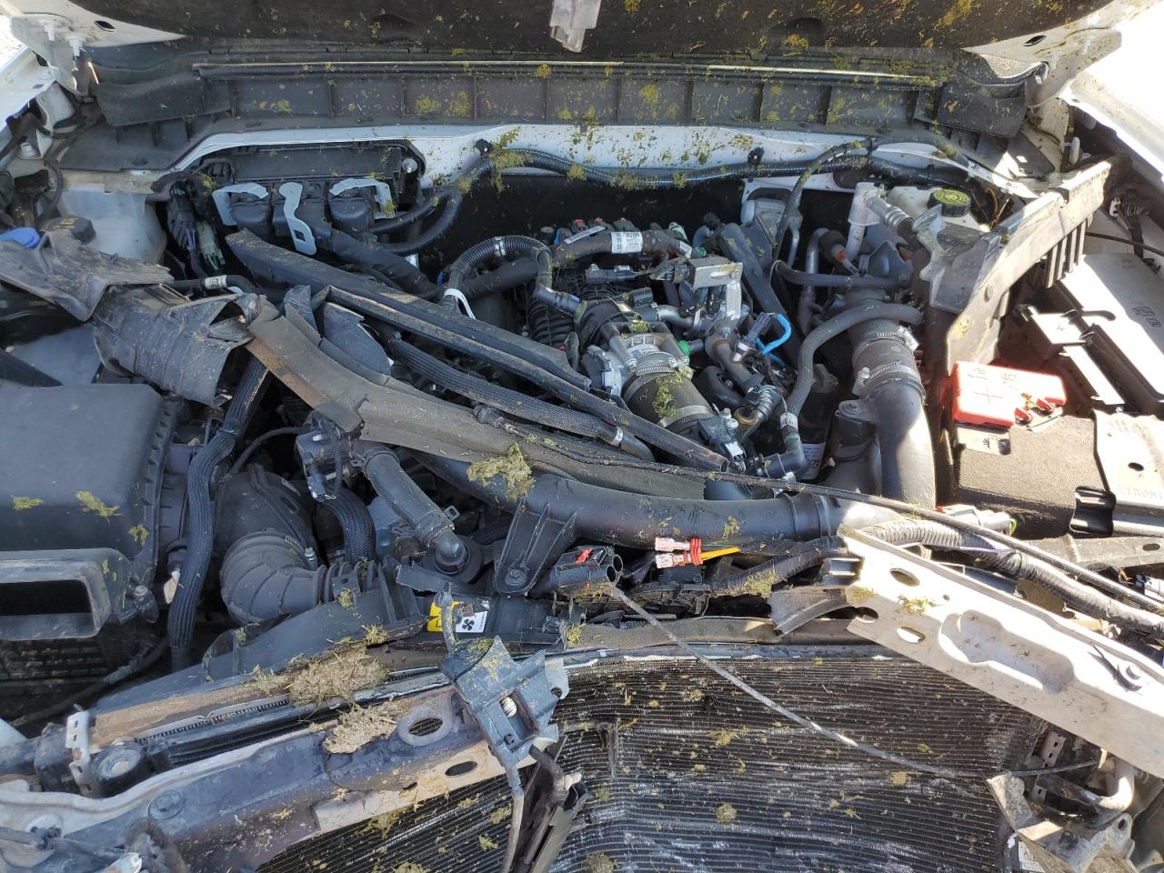 2021 Ford Bronco Base VIN: 1FMEE5DP8MLA91160 Lot: 64061855