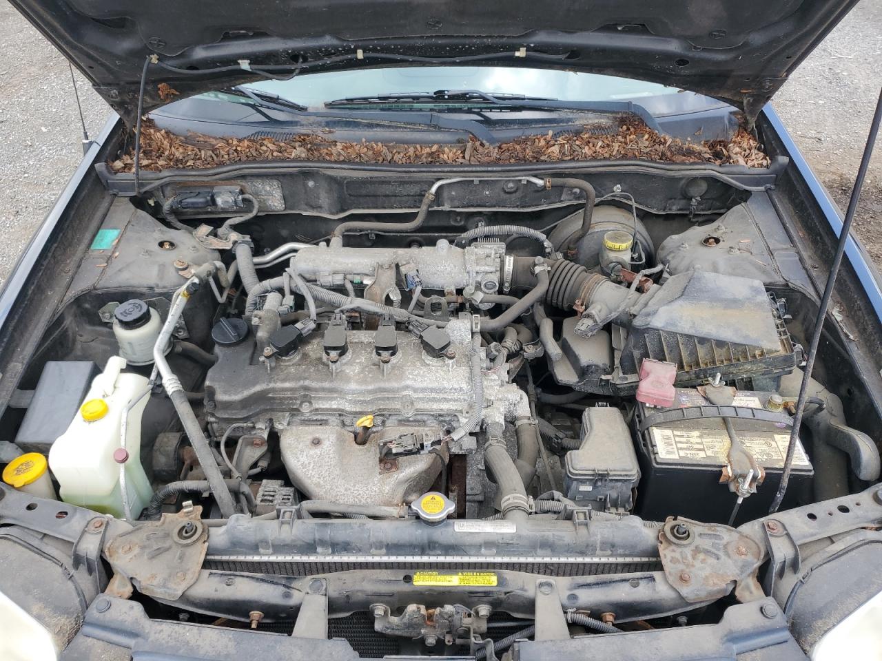 2004 Nissan Sentra 1.8 VIN: 3N1CB51D14L478574 Lot: 64811245