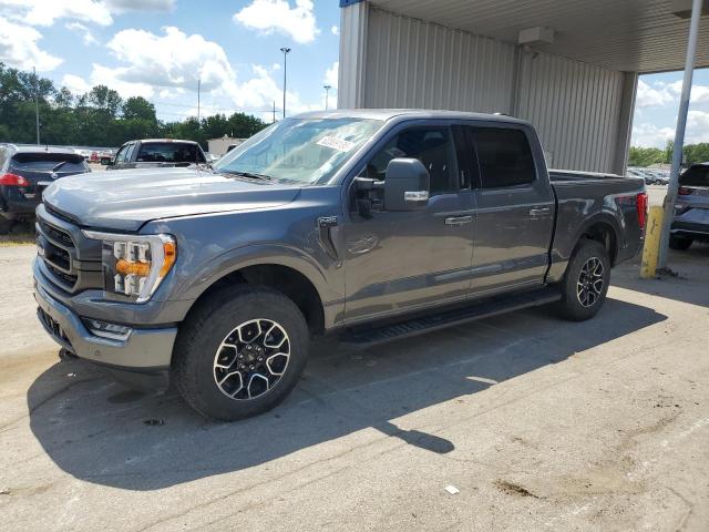  FORD F-150 2023 Szary