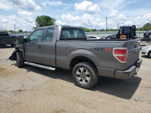  FORD F-150 2013 Gray