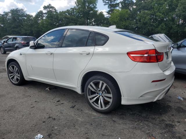 Parquets BMW X6 2012 Biały