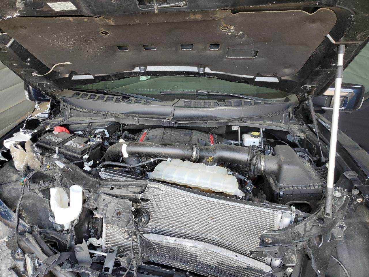 2022 Ford F150 Raptor VIN: 1FTFW1RGXNFB44836 Lot: 65835865