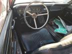 1965 FORD MUSTANG   à vendre chez Copart ON - LONDON