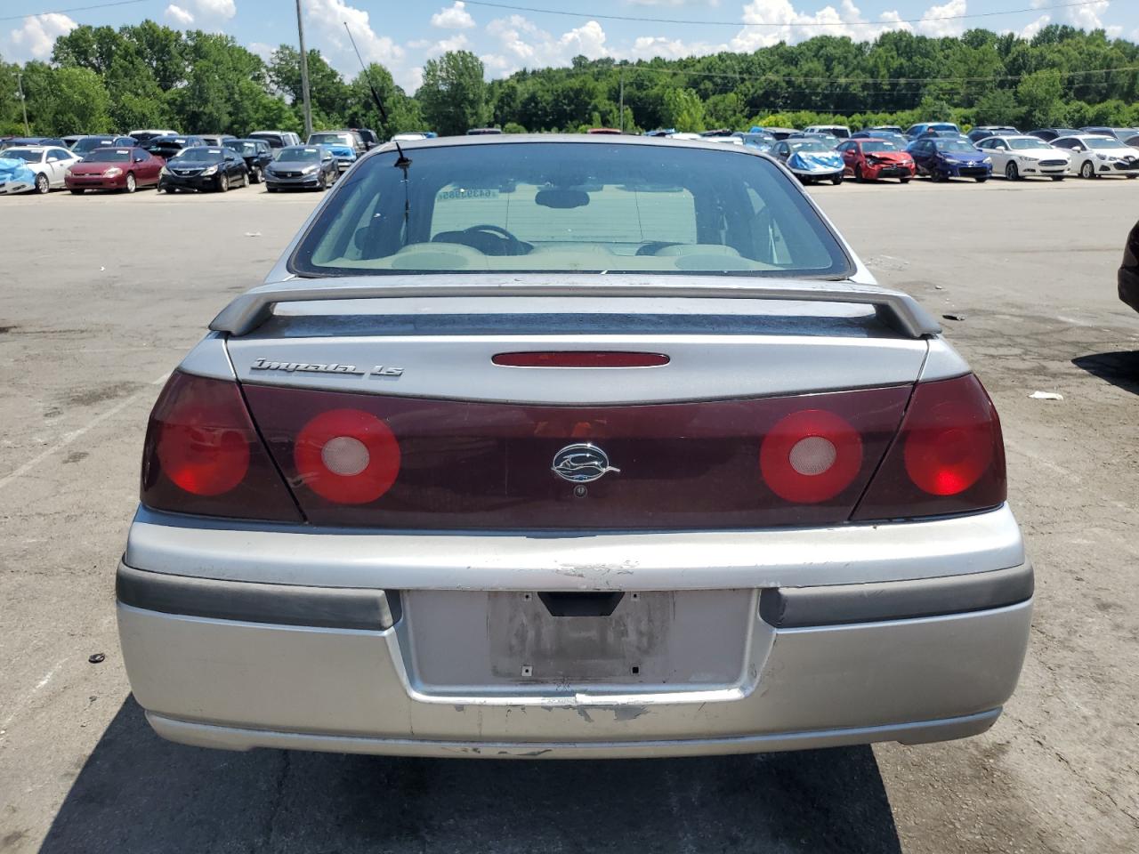2001 Chevrolet Impala Ls VIN: 2G1WH55K319111894 Lot: 64393985