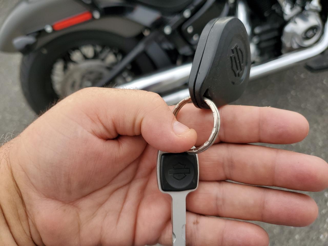 2018 Harley-Davidson Flsl Softail Slim VIN: 1HD1YDJ14JC023565 Lot: 64329795