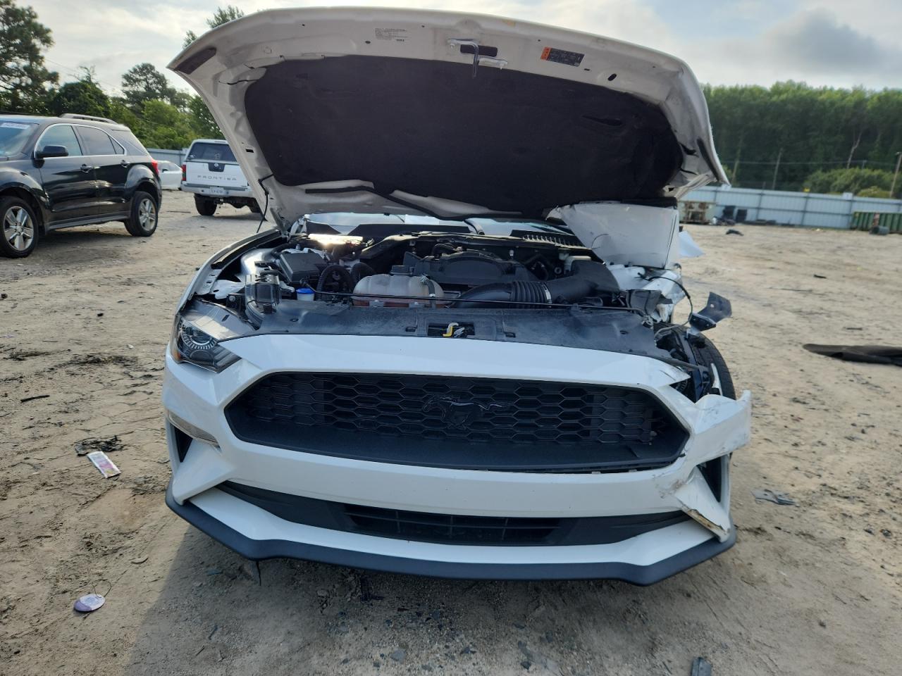 2020 Ford Mustang VIN: 1FA6P8TH9L5123900 Lot: 65088715