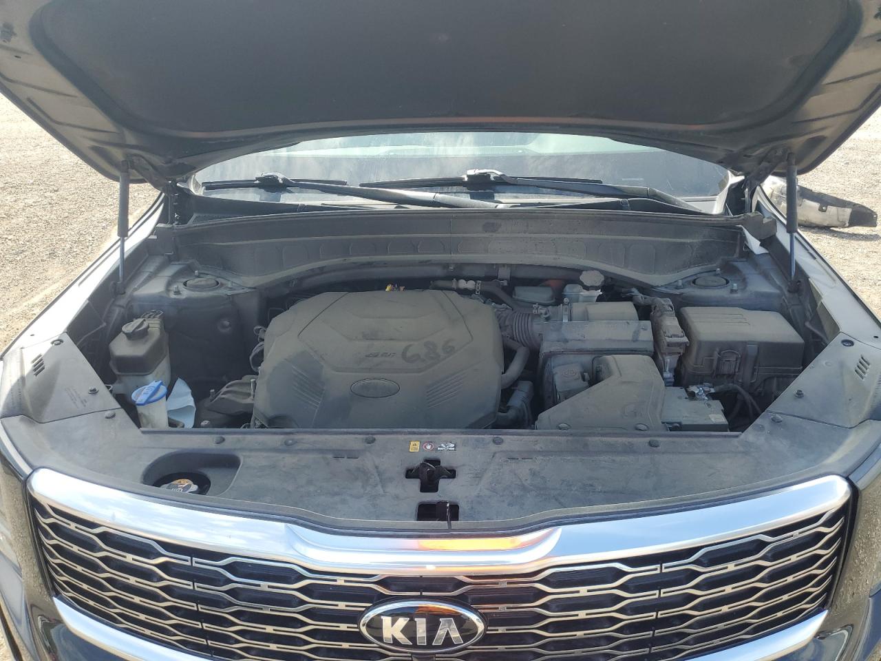 2021 Kia Telluride Sx VIN: 5XYP5DHC9MG095728 Lot: 63076065