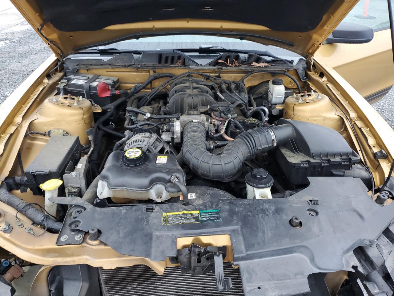2010 Ford Mustang VIN: 1ZVBP8AN9A5112262 Lot: 63988355