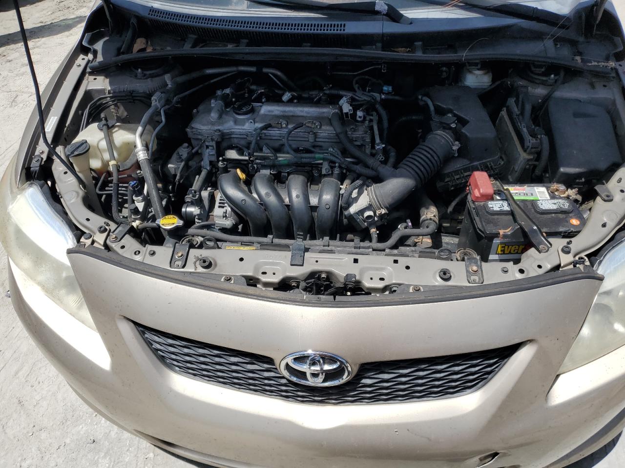 2009 Toyota Corolla Base VIN: 1NXBU40E49Z160870 Lot: 64959825