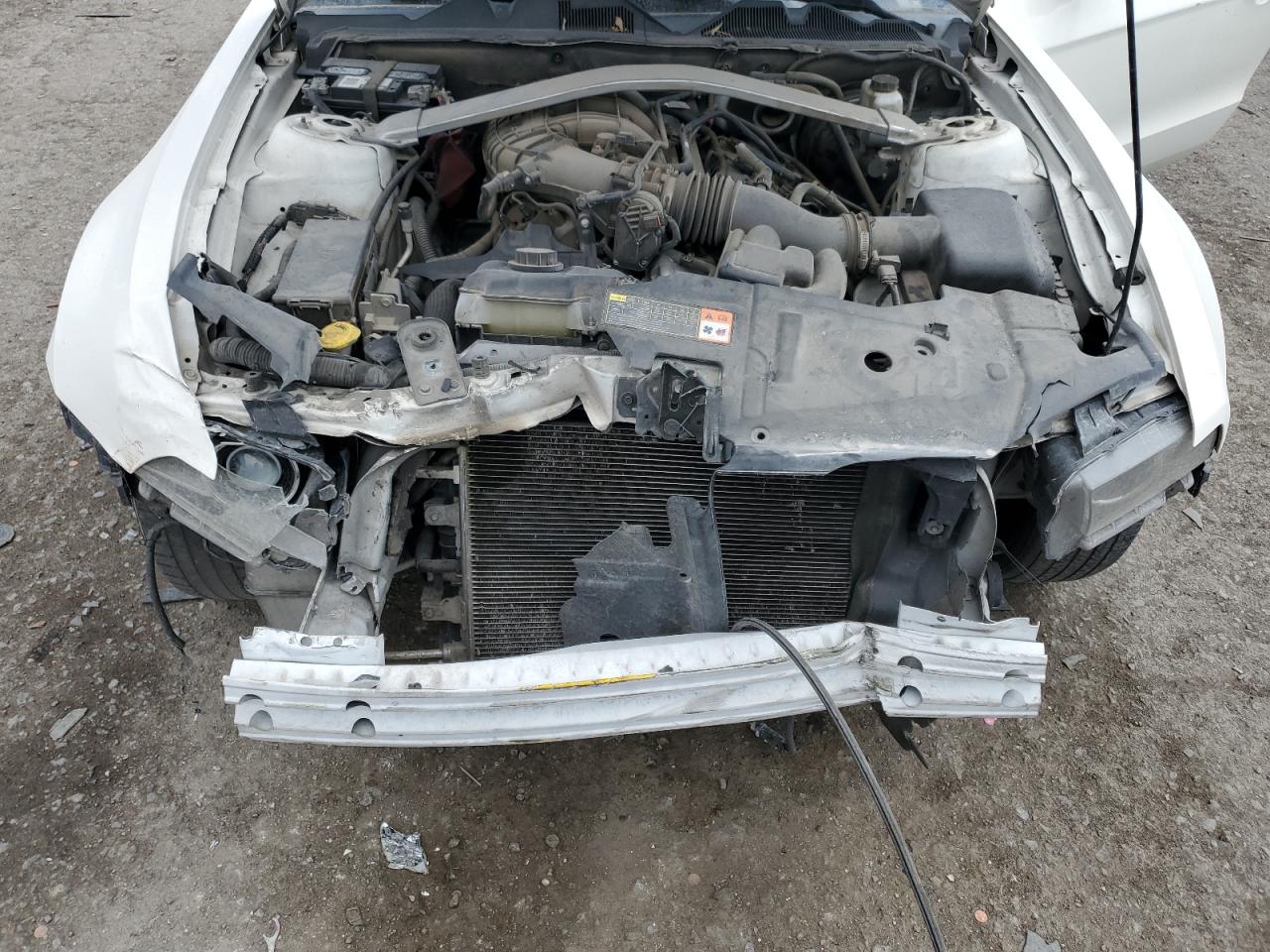 2013 Ford Mustang VIN: 1ZVBP8EM3D5229423 Lot: 63801765