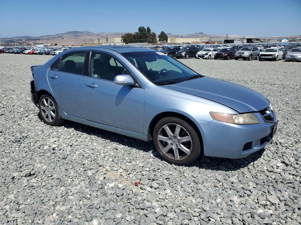 2005 Acura Tsx VIN: JH4CL96855C028130 Lot: 66581225