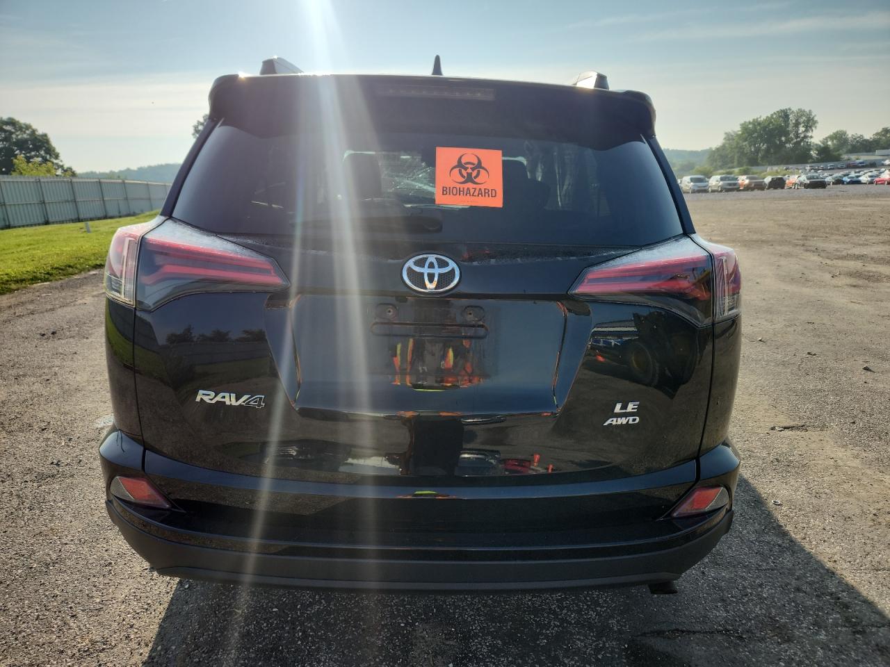 2017 Toyota Rav4 Le VIN: 2T3BFREV7HW605396 Lot: 64108985
