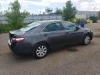 2008 TOYOTA CAMRY HYBRID   à vendre chez Copart ON - LONDON