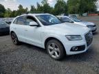 2013 AUDI Q5 PREMIUM HYBRID   à vendre chez Copart OR - PORTLAND NORTH