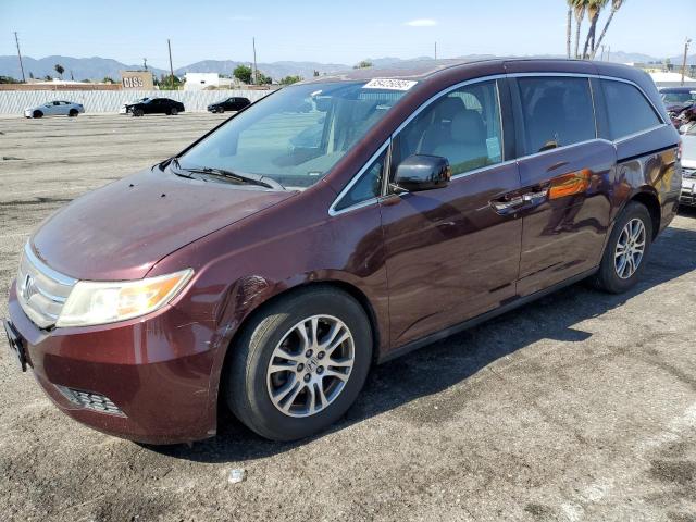  HONDA All Models 2013 Burgundy